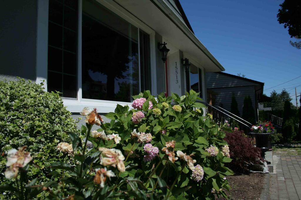 Guest house Semi Centre House 3*